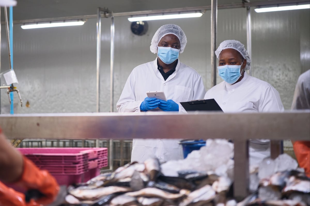Supervisores inspeccionando el control de calidad en una fábrica de procesamiento de alimentos